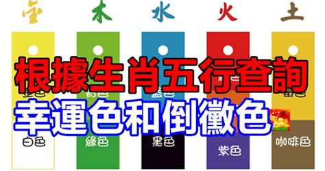 幸運色查詢|生肖幸運色速查表